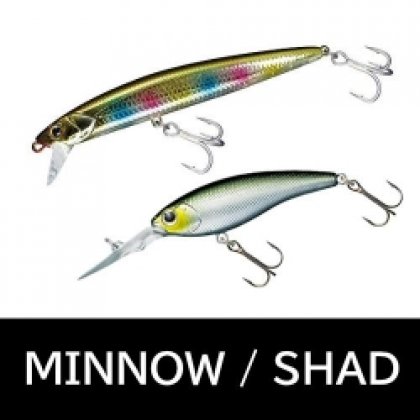 MINNOW/SHAD