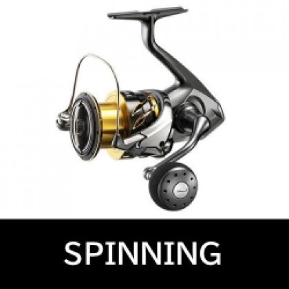 SPINNING