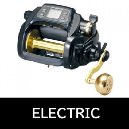 ELECTRICAL