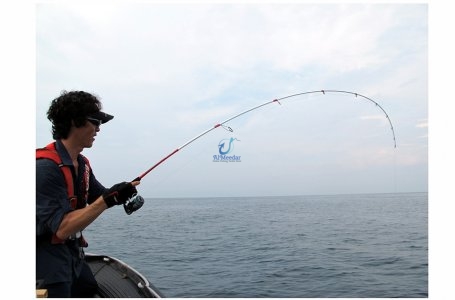 MAGIC EYE TORQUE For Casting/Over Head Reel