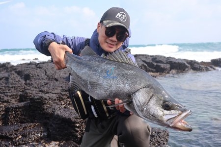 WIND SHEAR BLACK FIN for Spinning Rod