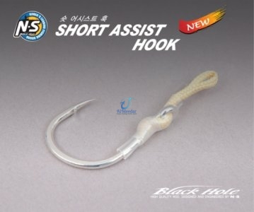 SHORT ASSIST HOOK
