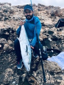 DARK HORSE POPPING For Spinning Reel